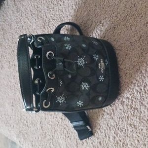 Snowflake-patterned Coach bag